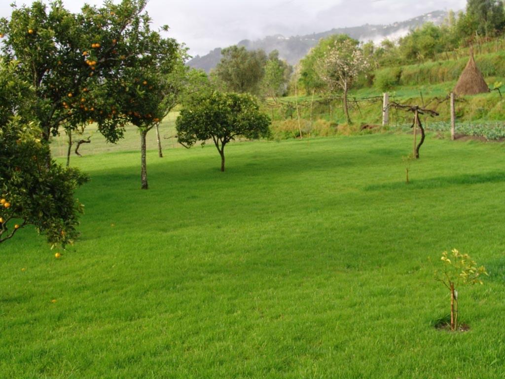 Quinta De Santa Marinha Appartement Arcos de Valdevez Buitenkant foto